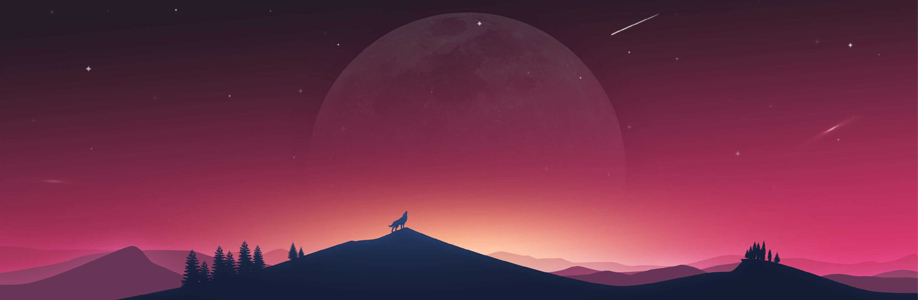 Panda General Cover Image